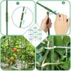 Assembleable plant support grid, tomato cage, rose climbing trellis51Inch vegetable fixing rack flower gardening support