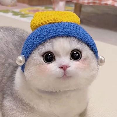 Handmade Funny Cat Hat Refined Elastic Photo Shoot Props Pets Party Cosplay Headwear Puppy Kittens Knitted Hat Pet