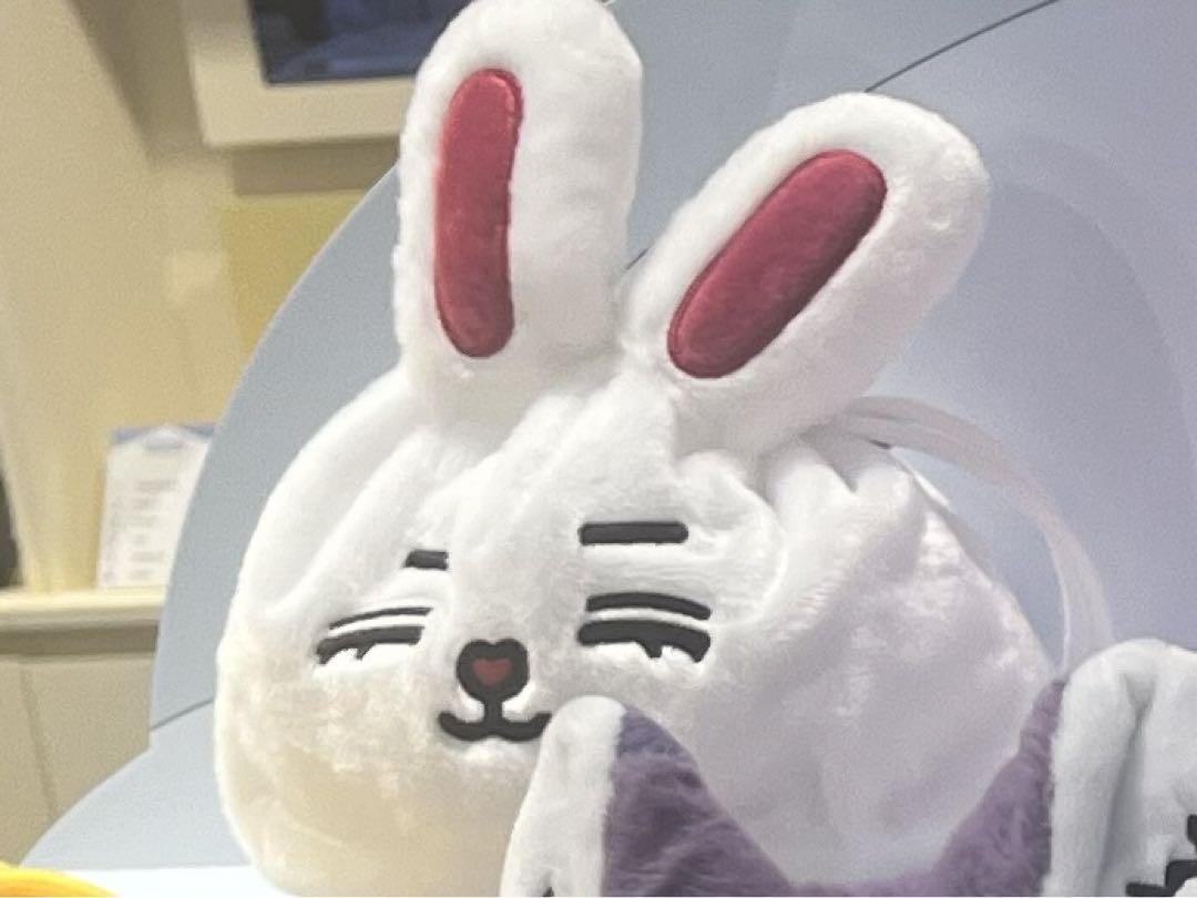 

[USED] MINITEEN Pop-up Pouch Seventeen S.X.P.