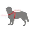 Bright Color Dog Harness Chest Strap for Small Breeds Walking Training Vest for Comfortable and Safety Outdoor Activity