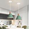 Oeny Simple Macaron Single-Head Pendant Light