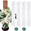 Stackable Pole for Monstera, Indoor Plant Support with Transparent Plastic Design for Climbing Plants