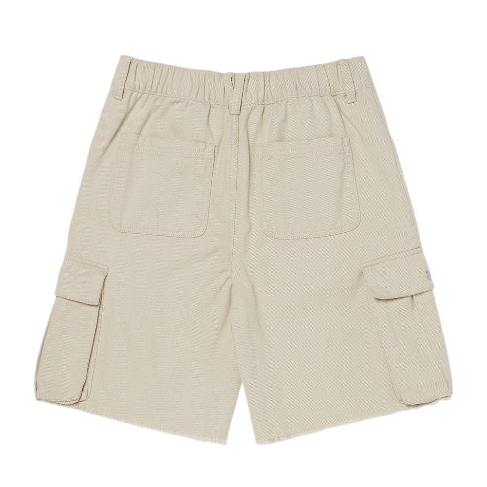 Vans Solid Color Pocket Cargo Shorts Unisex shorts VN000MBM2N11