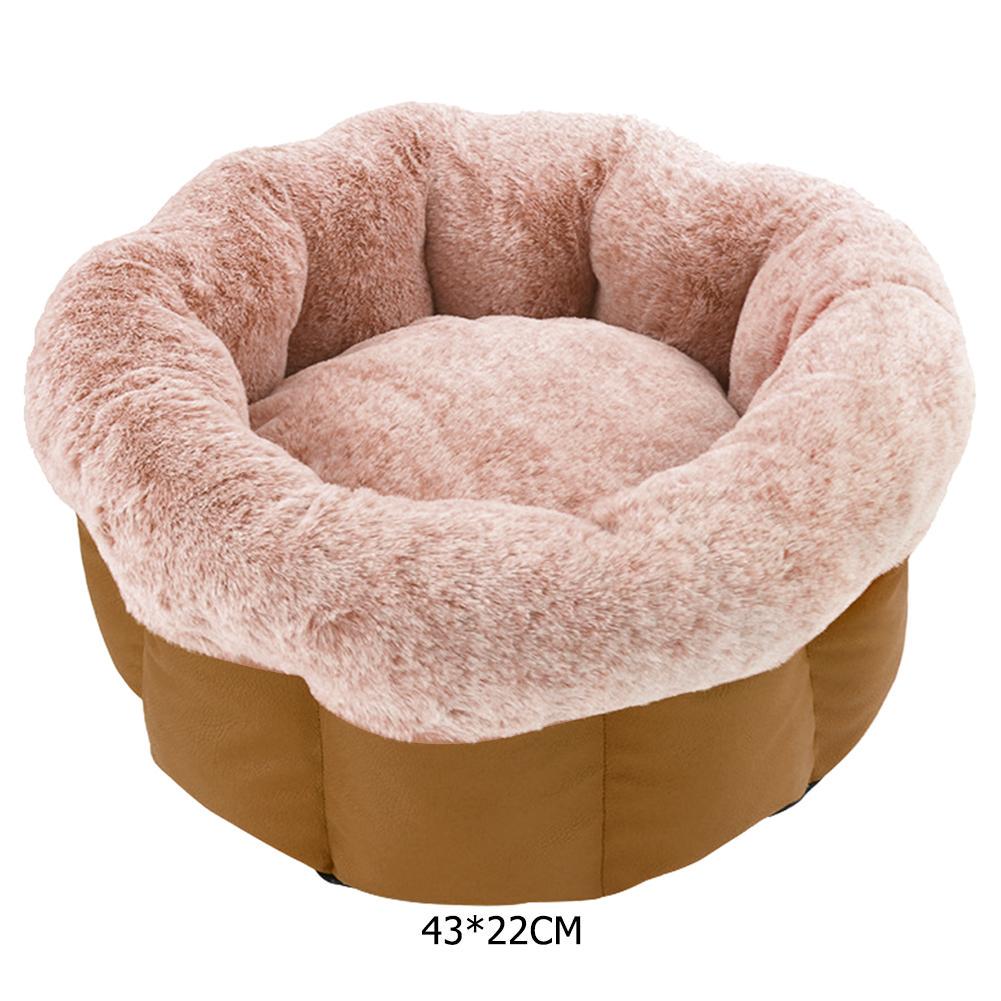 pet lounger bed