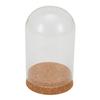 Glass Display Cloche Bell Jar Dome Flower Preservation Cover Wood Base DIY