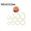 316L Surgical Stainless Steel Nose Hoops Hinged Clicker Septum Rings for Nose Cartilage Body Piercing Jewelry