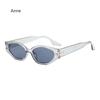 Vintage Small Sunglasses Retro Sun Glasses for Women Black Shadow Cat Eye Glasses Men  Designer Cateye Sun Glasses UV
