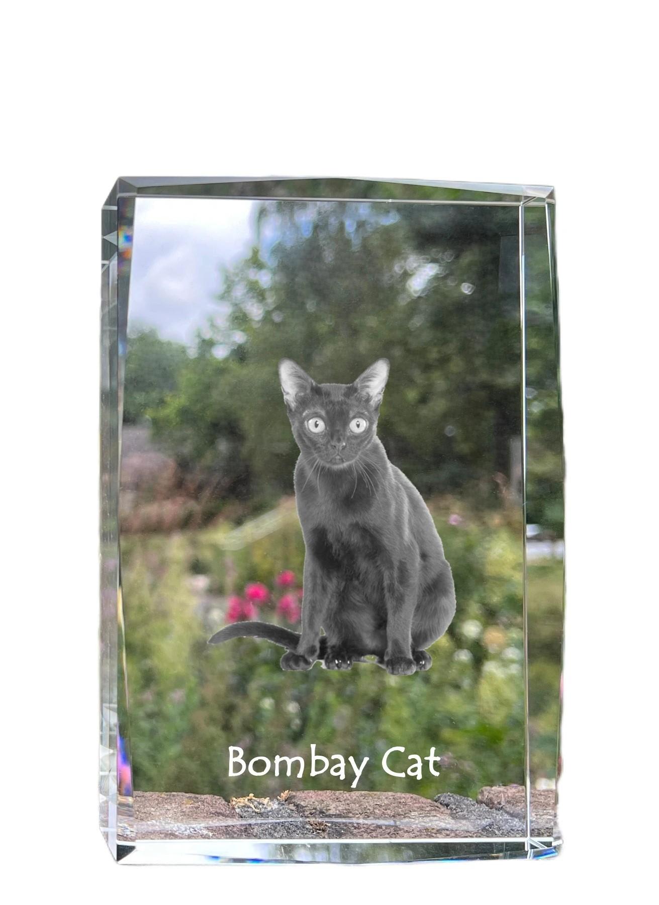 

Bombay - crystal with a picture of a cat, photo in glass, modern exhibition of Art-Dog brand photo