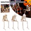 Halloween Resin Skull Decorative Ornament No Evil Skeleton Figurines Resin Realistic Skull Decor For Bookshelf Table Edge Decor