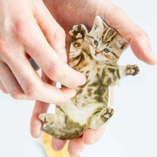 1/3 ks Škrabací kočka bříško pilník na nehty Ergonomický Pánský Dámský Gel Akryl Pilník na nehty Deska Manikúra Pedikúra Nástroje Nehtové potřeby