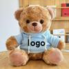 Teddy Bear Plush Toy with Cute Logo and School Emblem Design