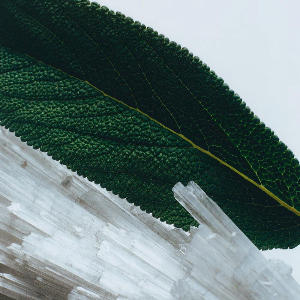 Jo Malone Wood Sage & Sea Salt Cologne 30ml [Parallel Import]