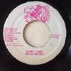 7inch Record PETER METRO  Duppy Come NONE Bebos Music 1987 Jamaica Reggae Ska  Dub Used