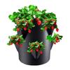 7 Gallons Strawberry Planting Bag Grow Bag With 6 Side Grow Pocket Portable Tomato Planting Bags Strawberry Pots Planting Pots
