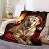 1 ks Flanelová deka s kresleným potiskem, Vysoce kvalitní, Pohodlná pro všechna roční období, Domácí dekorace, Teplo a pohodlí, Perfektní jako vánoční dárek k narozeninám