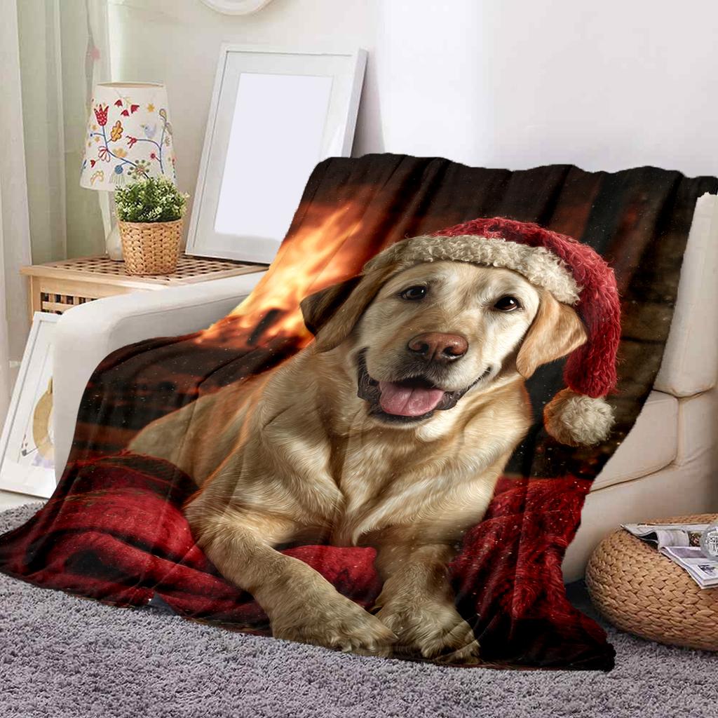 1 ks Flanelová deka s kresleným potiskem, Vysoce kvalitní, Pohodlná pro všechna roční období, Domácí dekorace, Teplo a pohodlí, Perfektní jako vánoční dárek k narozeninám