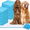 100 Pcs. Hygienic Absorbent Underpads 60X90Cm Absorbent Mats In_Stock