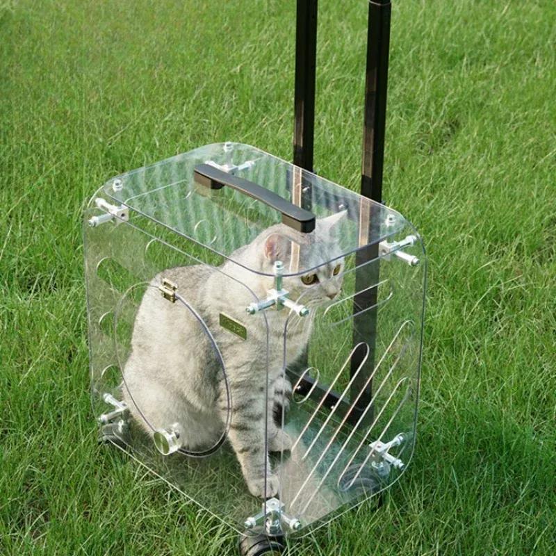 Good-looking Pet Trolley Cat Bag Out Portable Clear Cat Suitcase Large Capacity Dog Carrier Air Suitcases Transport Pet Products