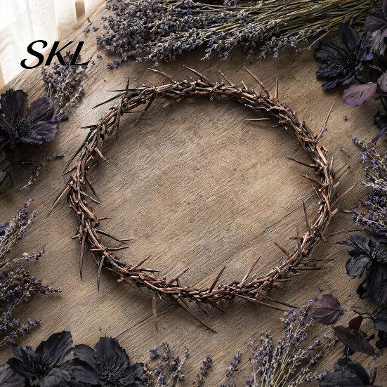 Halloween Thorns Wreath Wreath, Realistic Spiked Branches, Horror Theme Decoration, Branch And Thorn Dead Spooky for Haunted House Decor Scary Window