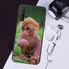 Cute Baby Monkey Animal Case For Huawei Nova 3i 7i 11i 11 Pro 10 9 SE 5T Y60 Y61 Y70 Y90 Y91 P20 P30 P40 Lite Cover