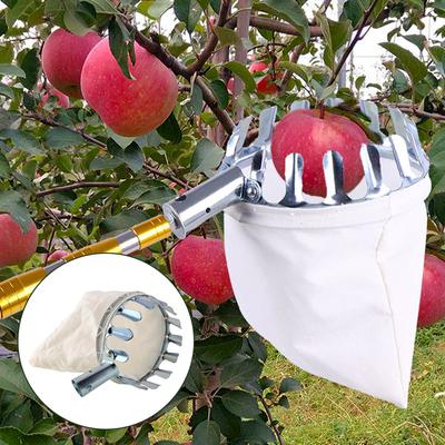 Ferramentas de jardinagem – Apanhadores de frutas