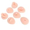 Silicone Body Part Model Soft Silicone Ear Mouth Nose Eye Tongue Navel Model with Display Rack for Teaching Display