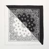 Paisley Bandanas for Men Women Soft Breathable Fabric Unique Multicolor Print for Hiking Travel Daily Wear