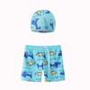 Boys' Cartoon Swim Trunks