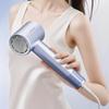 Xiaohuaxian High-Speed Ionic Portable Hair Dryer
