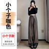 Real leather pants women's  autumn and winter new high-waisted casual pants soft leather PU leather trendy cool floor-mopping wide-leg pants