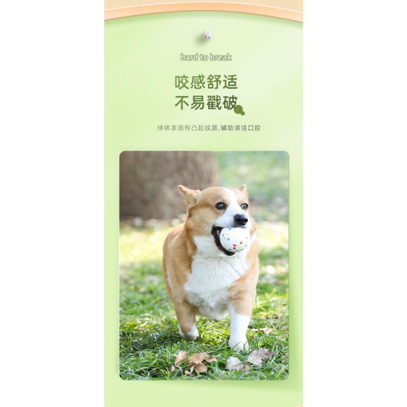 Durable Bite Resistant Elastic Solid Ball Chew Toy For Pet Dogs