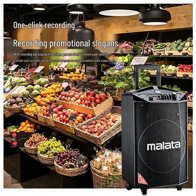 Malata Portable Karaoke Bluetooth Trolley Speaker with Dual Mics (CN Version)