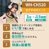 Sony WH-CH520 Wireless Headphones Pink