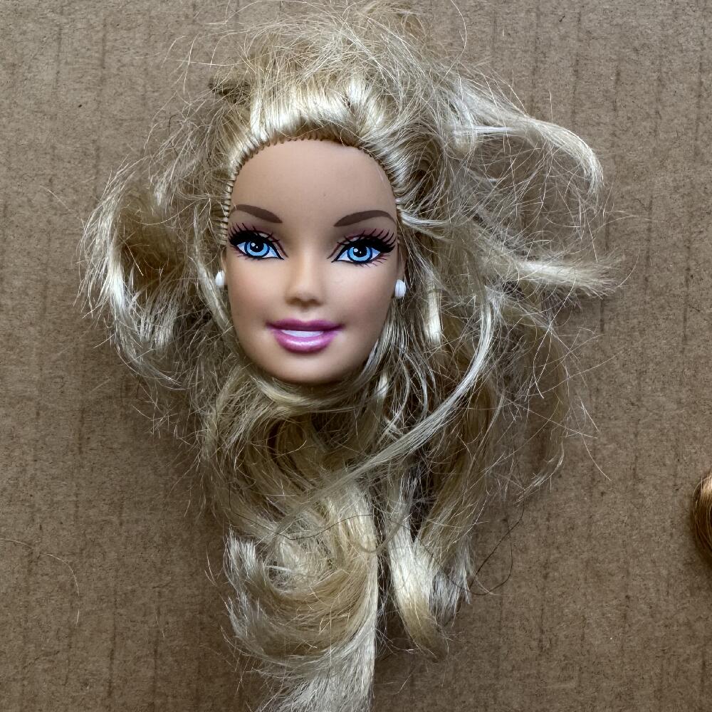 1/6 Doll Heads Rare Face White Beige Brown Skin Tone