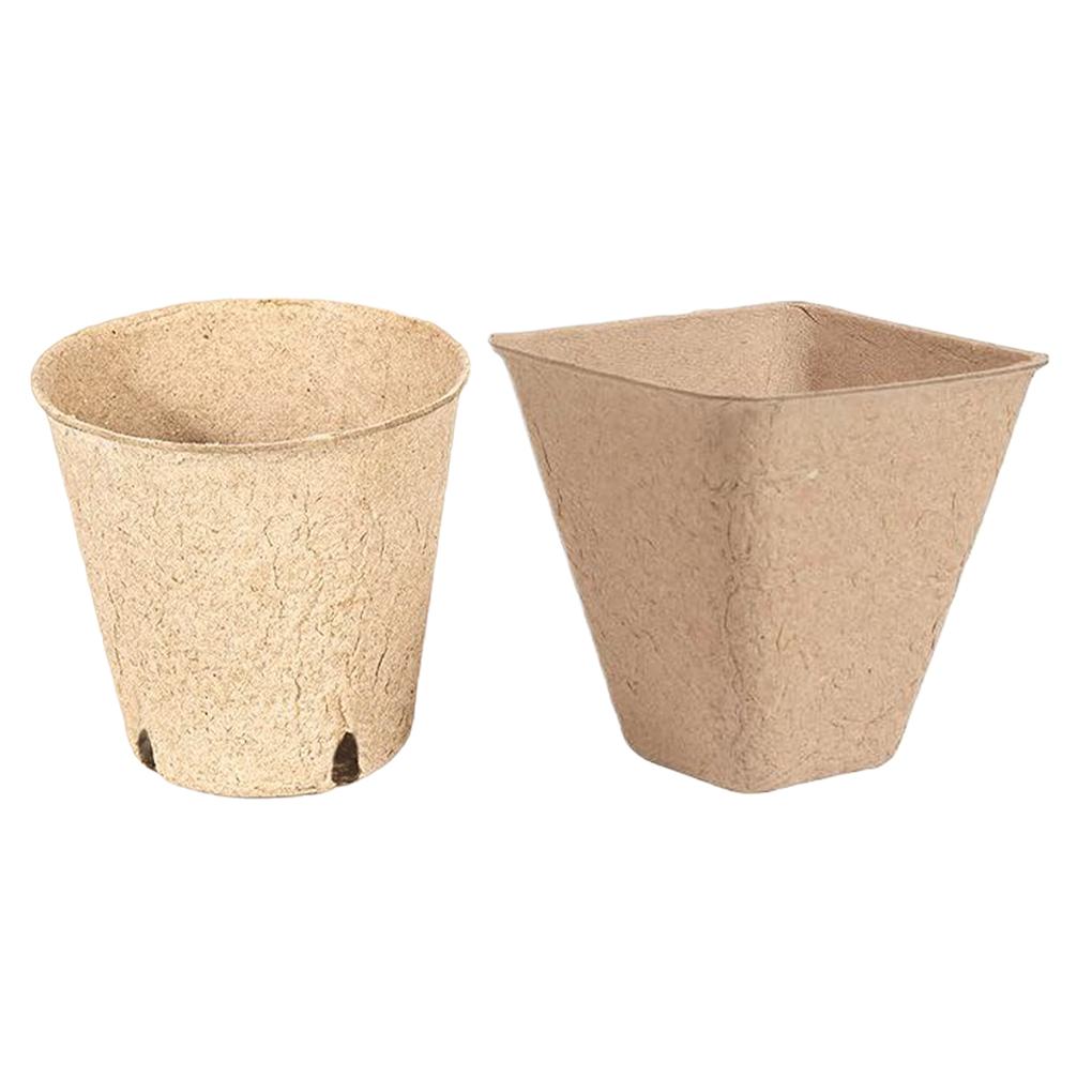60x Thickened 8 × 8 Round Seedling Cups For Healthy Plant Growth Biodegradable Forseed Starter Pots