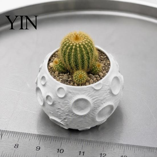 Dekorativer Fotografie-Requisit 3D-gedruckter Mondblumentopf für Sukkulenten, Kreativer Mondoberflächen-Pflanztopf Moderne Heimdeko Schreibtischdeko, Minimalistische Pflanze