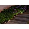 Solar Garland To Plant 10 White LEDs - GALIX - 5m - 0.5W - 100 Lumens - 8 Hours of Lighting