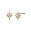 14K Sparkle Earrings