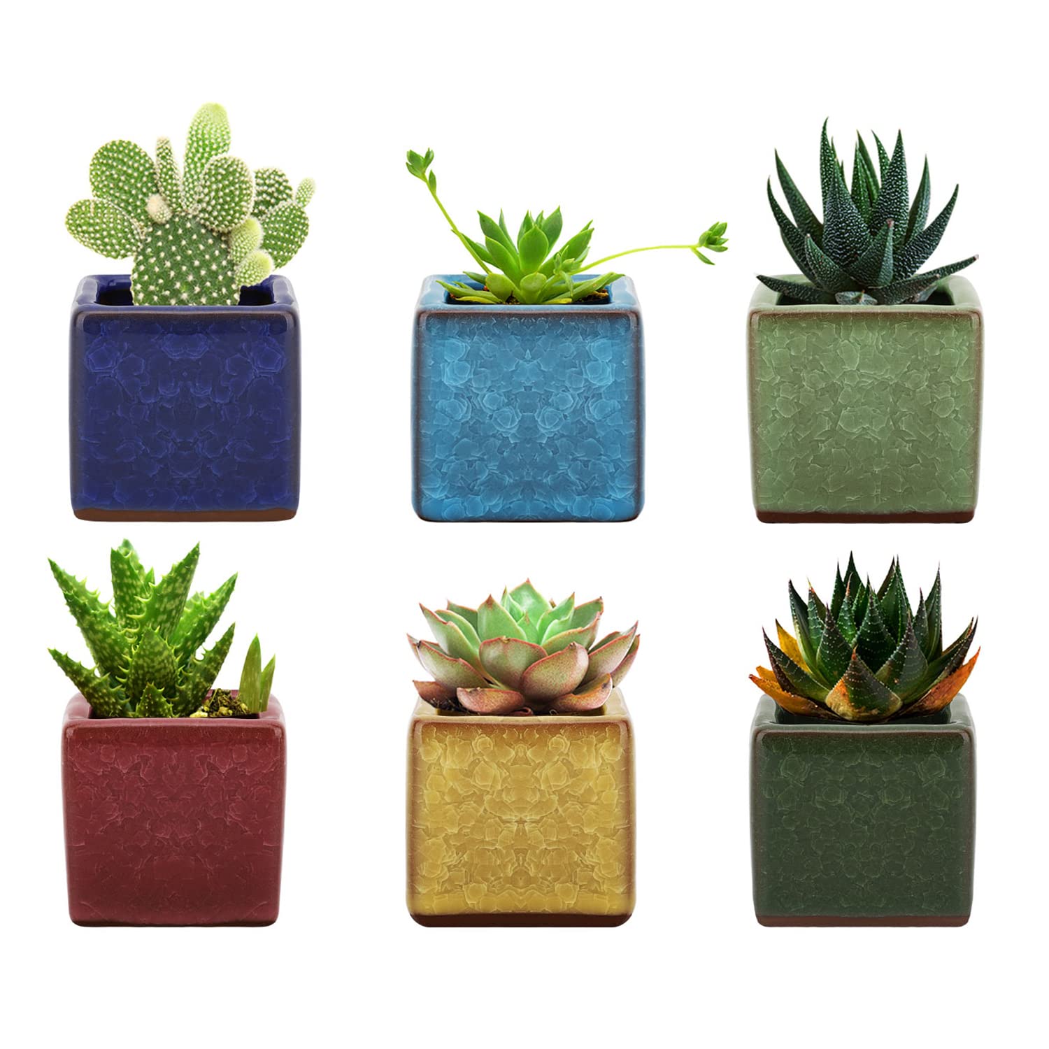 

Lewondr Ceramic Planter Pots for Window and Miniature Size Set includes pots SquareIceCrack 6-Piece Succulents, Bonsai, Treatments, Plants, 2,