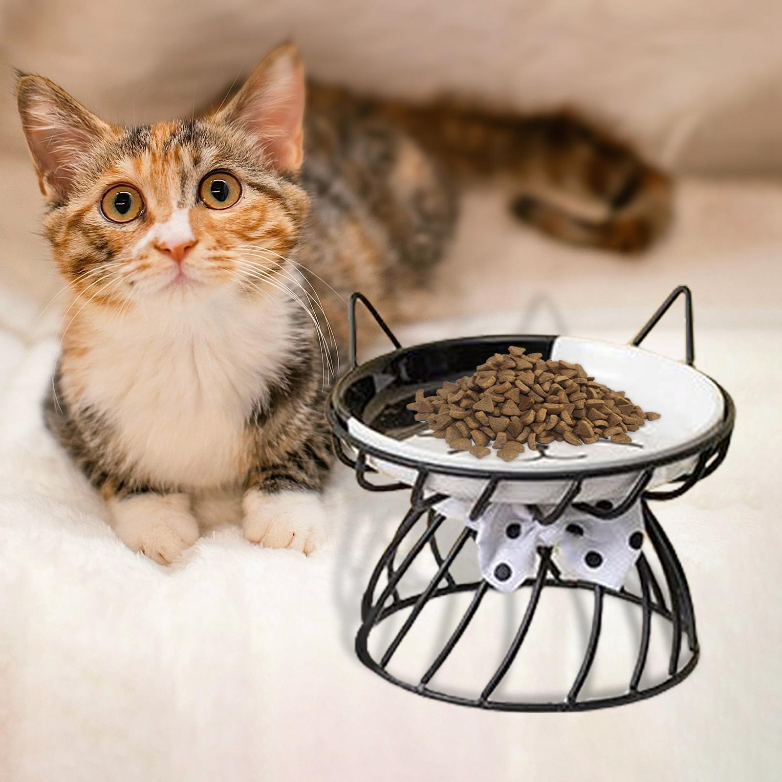 Cat Bowl, Ceramic Pet Bowls, Slant Stand for Food and Water, Cat Food Dish