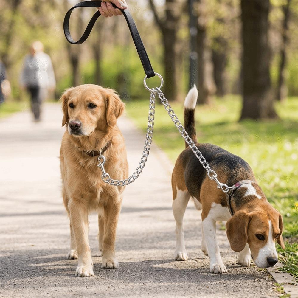 Metal Clasp Dual Dog Coupler Multi Sizes Option Metal Dog Chain Pet Traction Rope Pet Park Visit