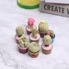 5Pcs Miniature Succulent Plant In Pot For Dollhouse Furniture Decoration Home