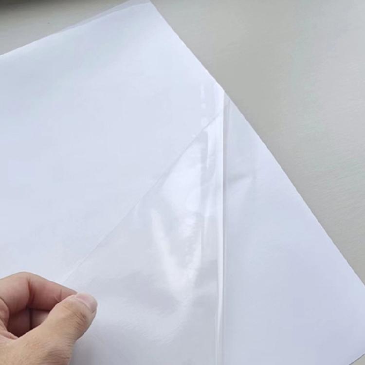 PVC Pet Scratch Prevention Stickers 4PCS Transparent Adhesive Furniture Protector Durable