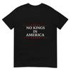 No Kings In America Flag Protest Save Democracy T-Shirt