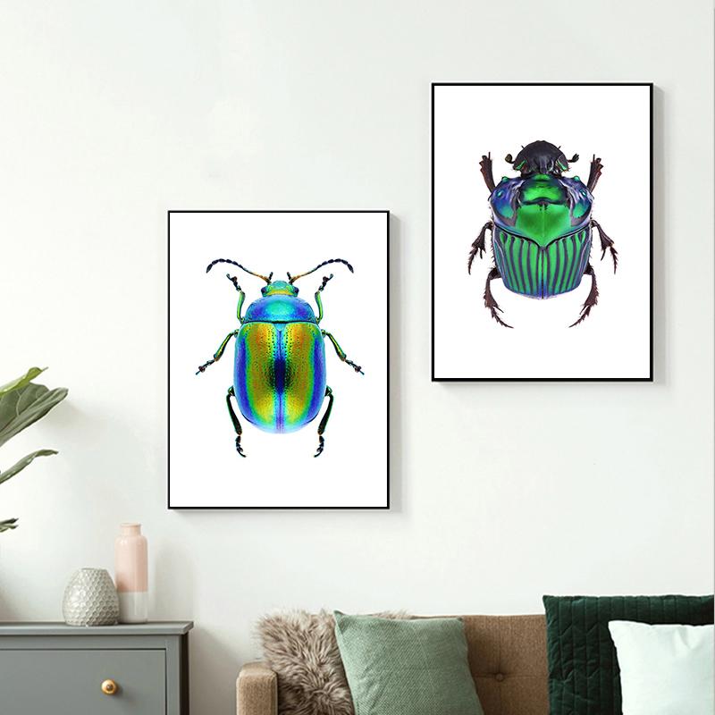 HD-Druck, Insektenkäferrassen-Sammlung, Poster und Druck, Leinwandgemälde, Retro-Wandkunst für Wohnzimmer, Heimdekoration, Cuadros