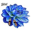 Wood Flooring Rug Contemporary Area Bathroom Mat Non-Slip Absorbent Flower Floor Decorative 3D Realistic Pattern