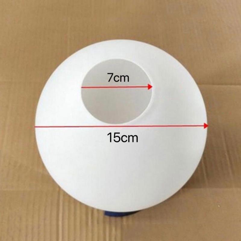 Round Frosted Glass Bedside Table Lamp Pendant Lampshade