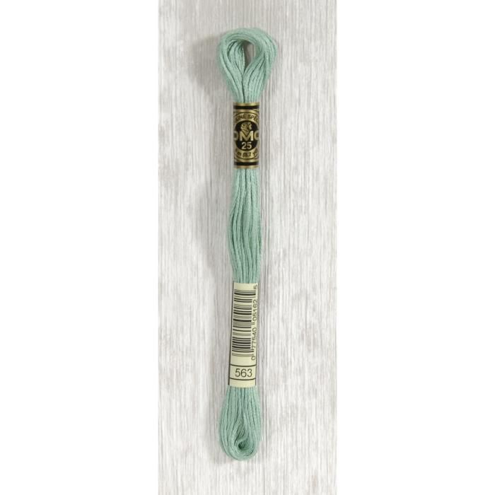 DMC Fil Mouliné 563