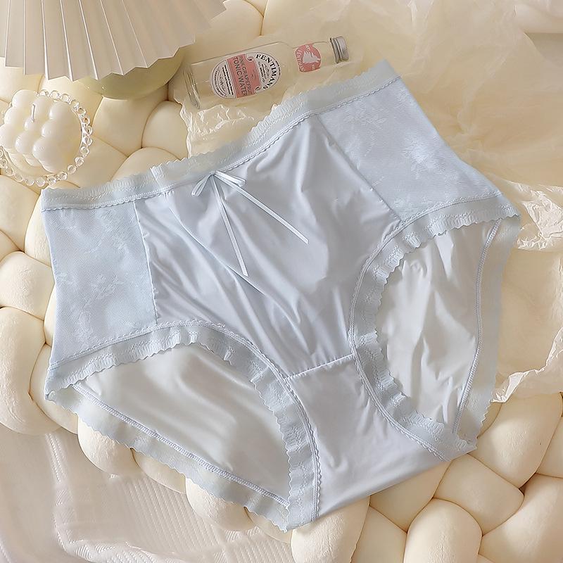 High Waist Seamless Plus Size Briefs for Women 240 Lbs+ - Pure Desire Lightweight Edition