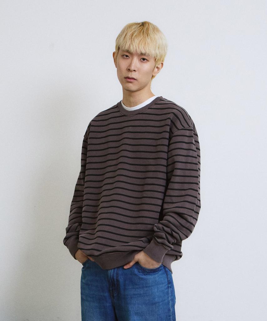 ADERNM Pigment Daily Stripe Sweatshirt (Mocka)